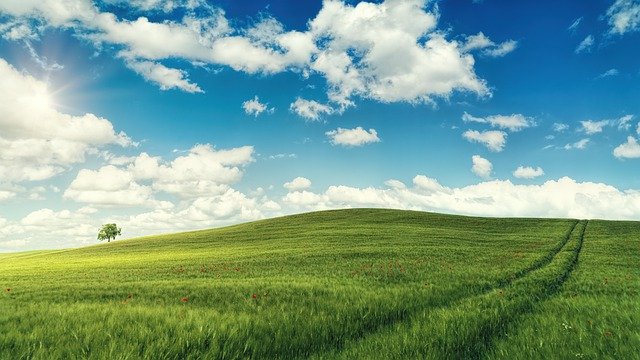 114學年度鳳西國中體育班預定招生日期